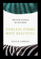 Book cover for Endless Forms Most Beautiful by Carroll